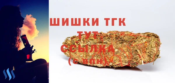 стаф Елизово