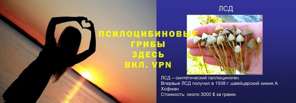гидра Алексин