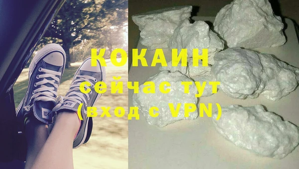 гидра Алексин