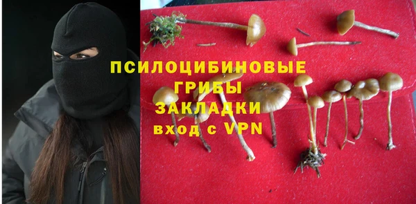 синтетический гашиш Алексеевка