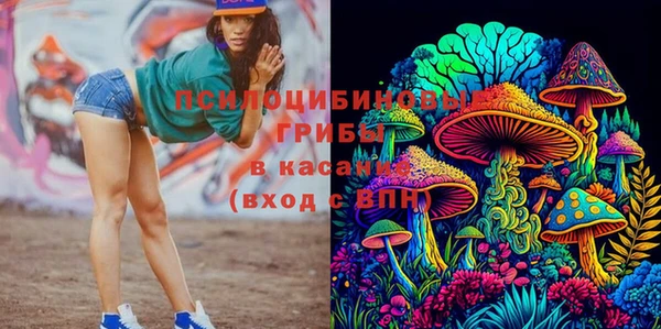 синтетический гашиш Алексеевка