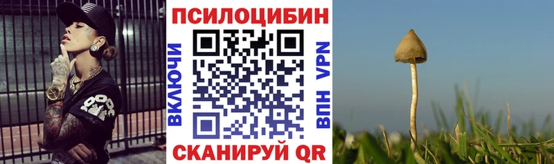 Псилоцибиновые грибы GOLDEN TEACHER  Чердынь 